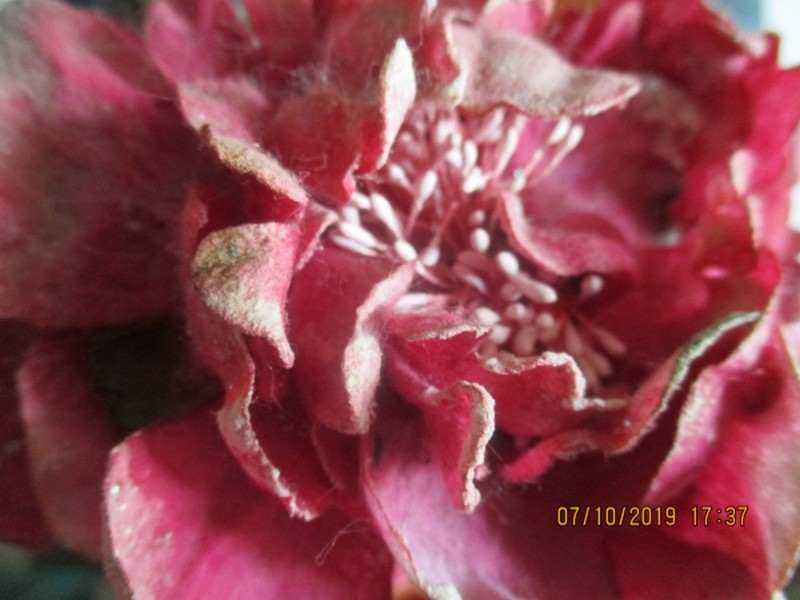 Illustration pour le poème