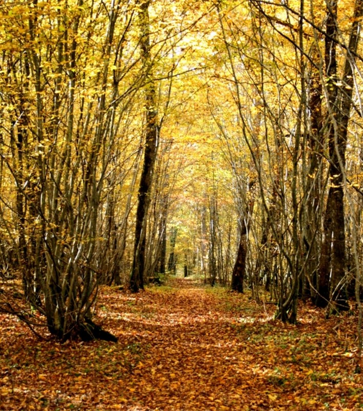 Illustration pour le poème