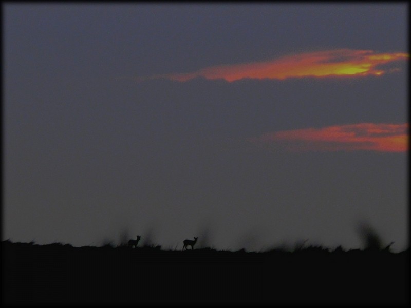 Illustration pour le poème