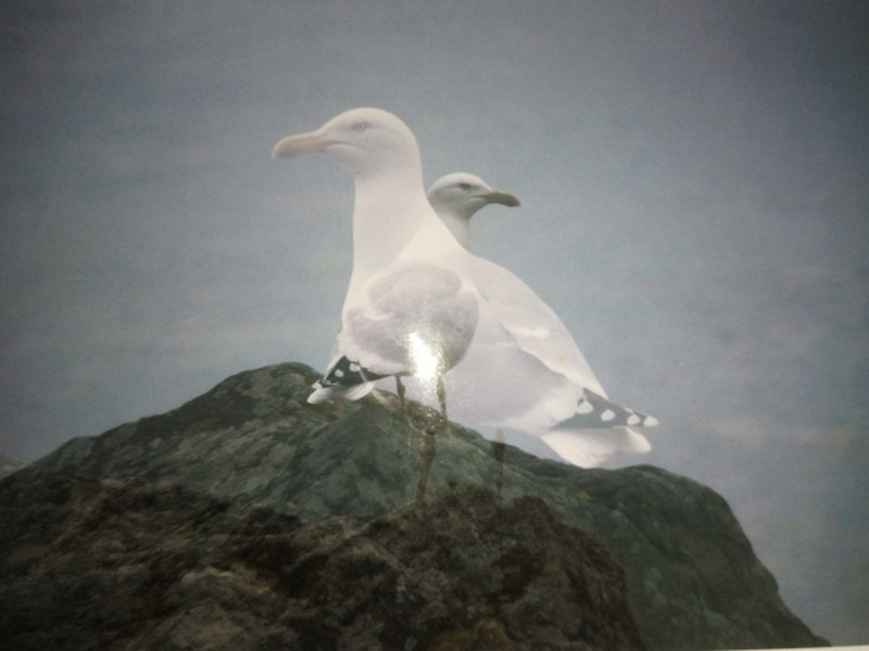 Illustration pour le poème