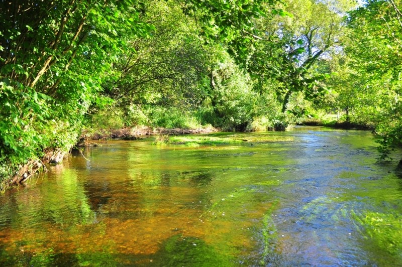 Illustration pour le poème