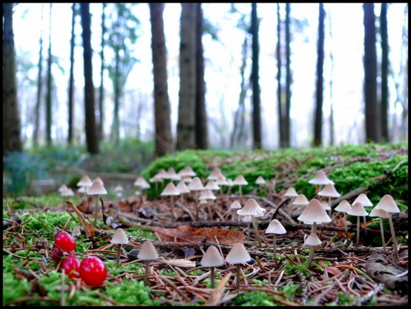 Illustration pour le poème