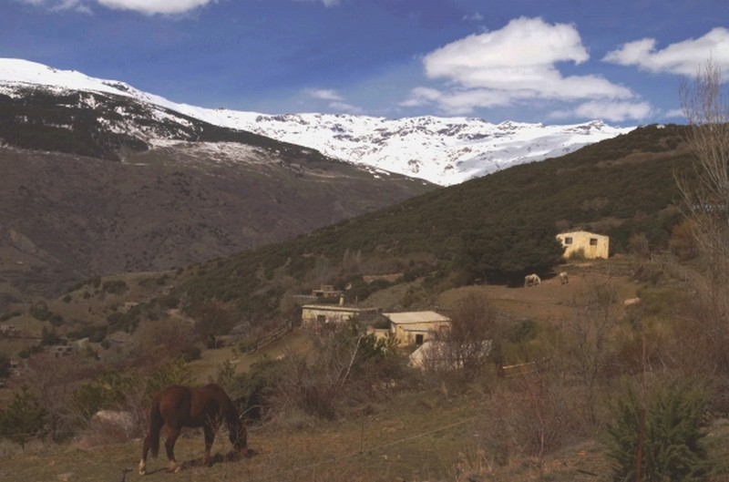 Illustration pour le poème