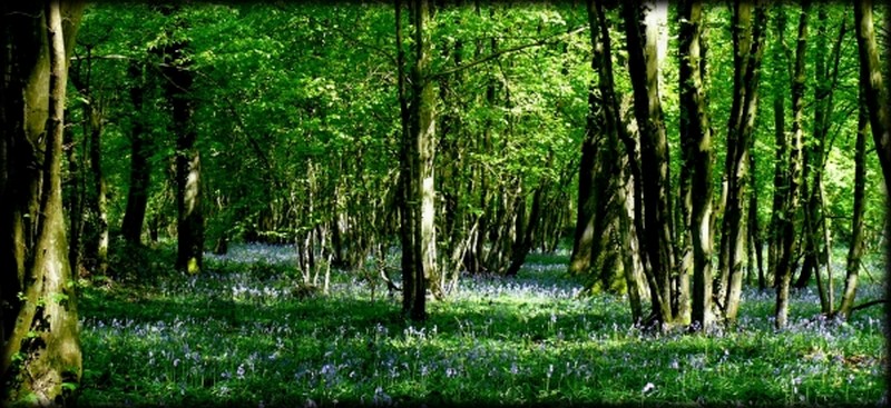 Illustration pour le poème