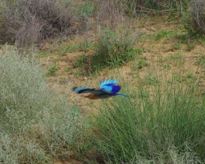 Illustration pour le poème