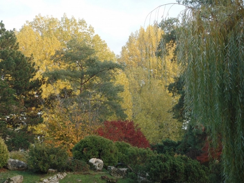 Illustration pour le poème