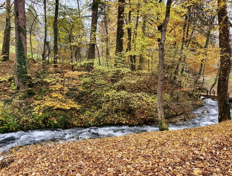 Illustration pour le poème