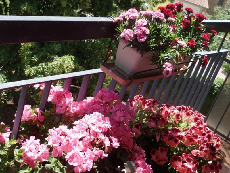 Illustration pour le poème