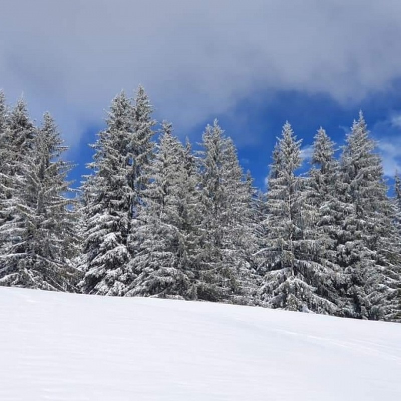 Illustration pour le poème