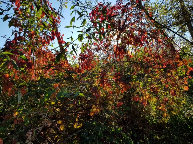 Illustration pour le poème