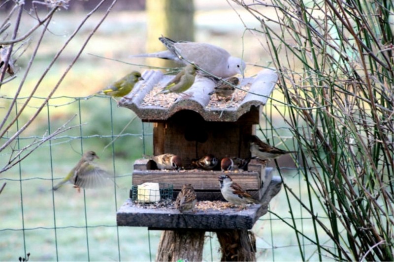 Illustration pour le poème