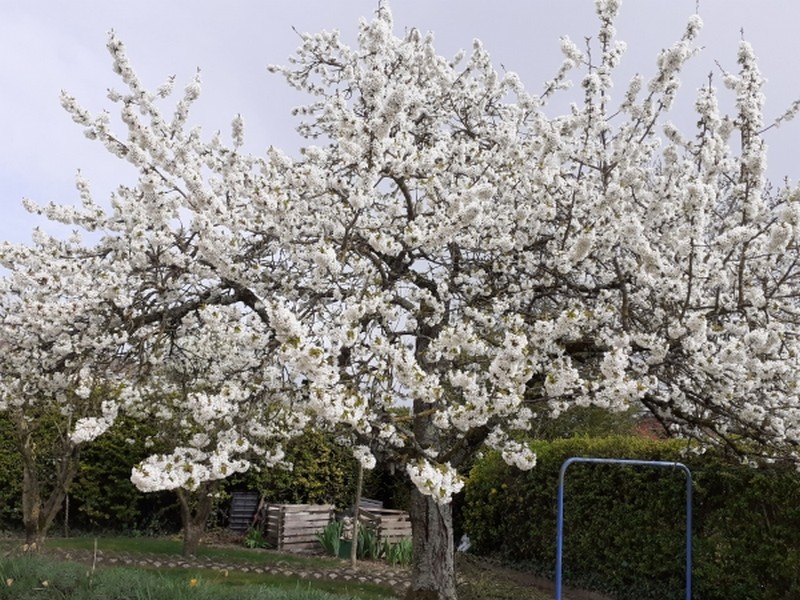 Illustration pour le poème