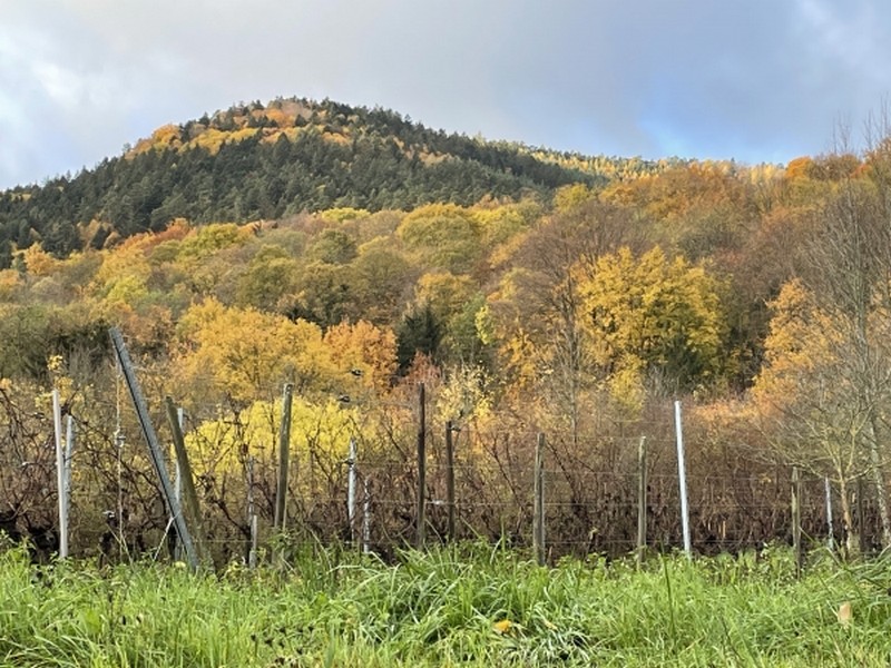 Illustration pour le poème