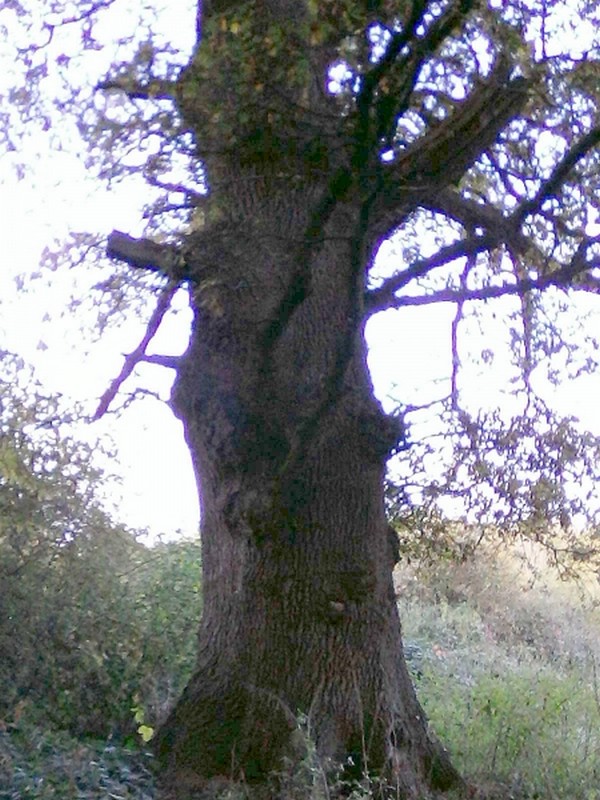 Illustration pour le poème
