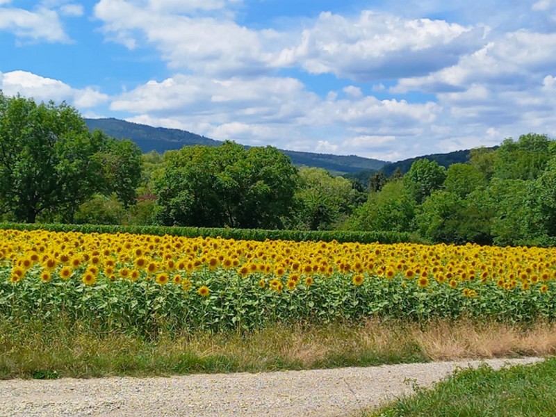 Illustration pour le poème