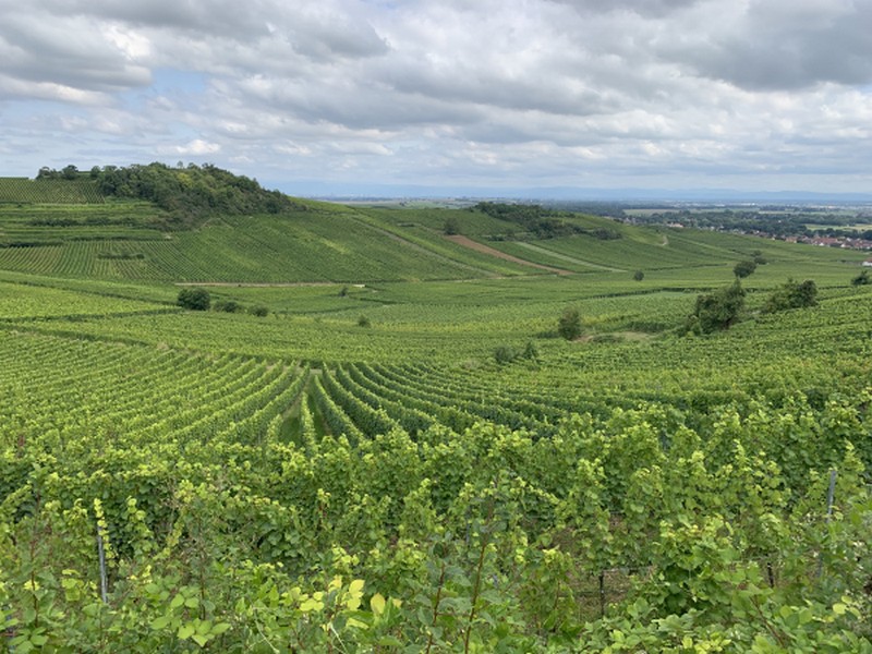 Illustration pour le poème