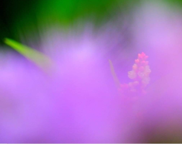 Illustration pour le poème