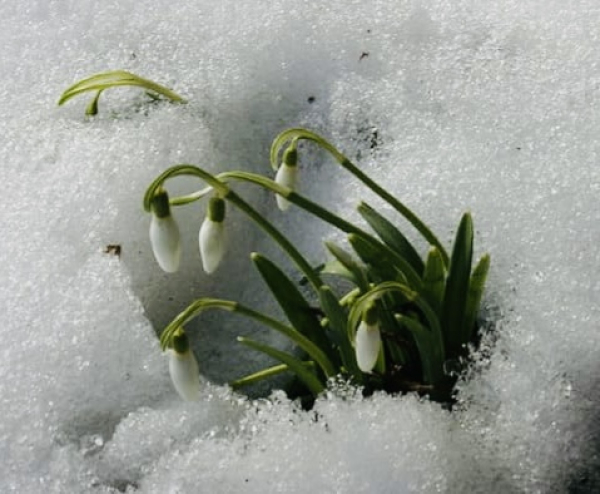 Illustration pour le poème
