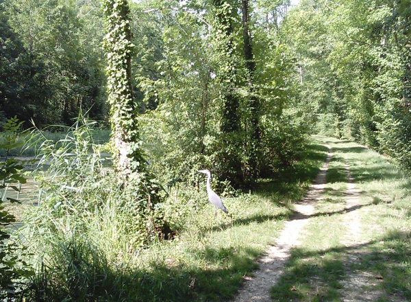 Illustration pour le poème