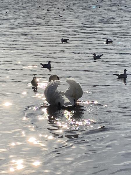 Illustration pour le poème