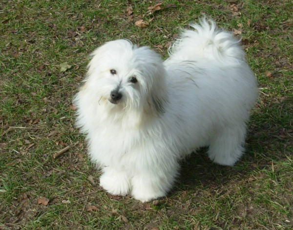 Illustration pour le poème