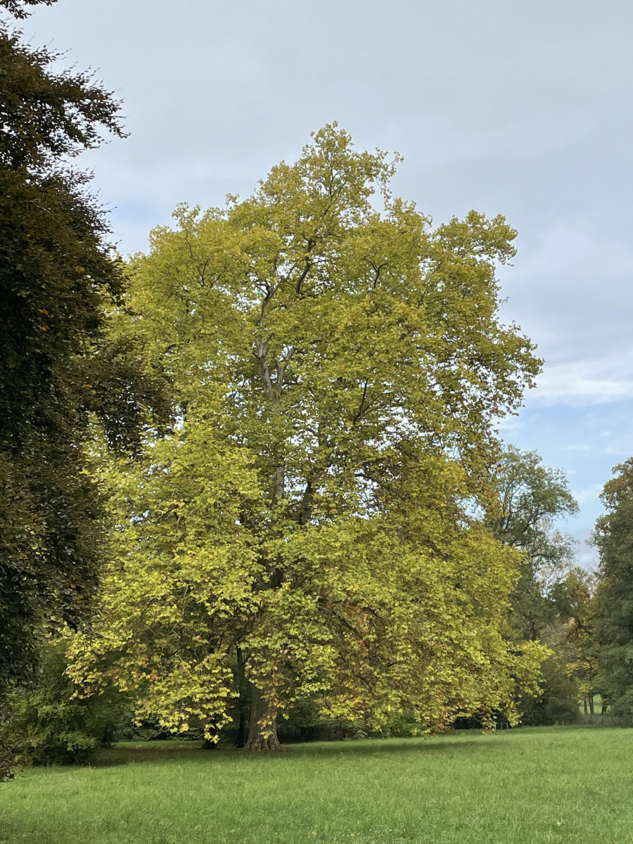 Illustration pour le poème