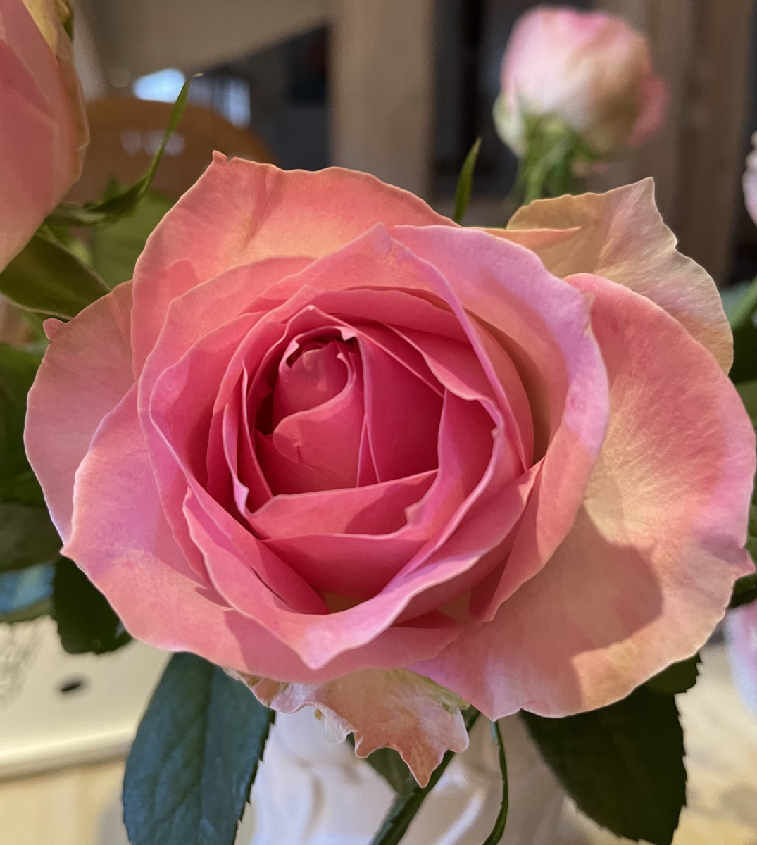 Illustration pour le poème