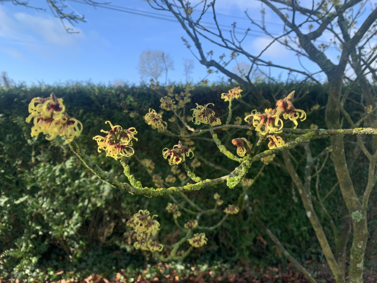 Illustration pour le poème