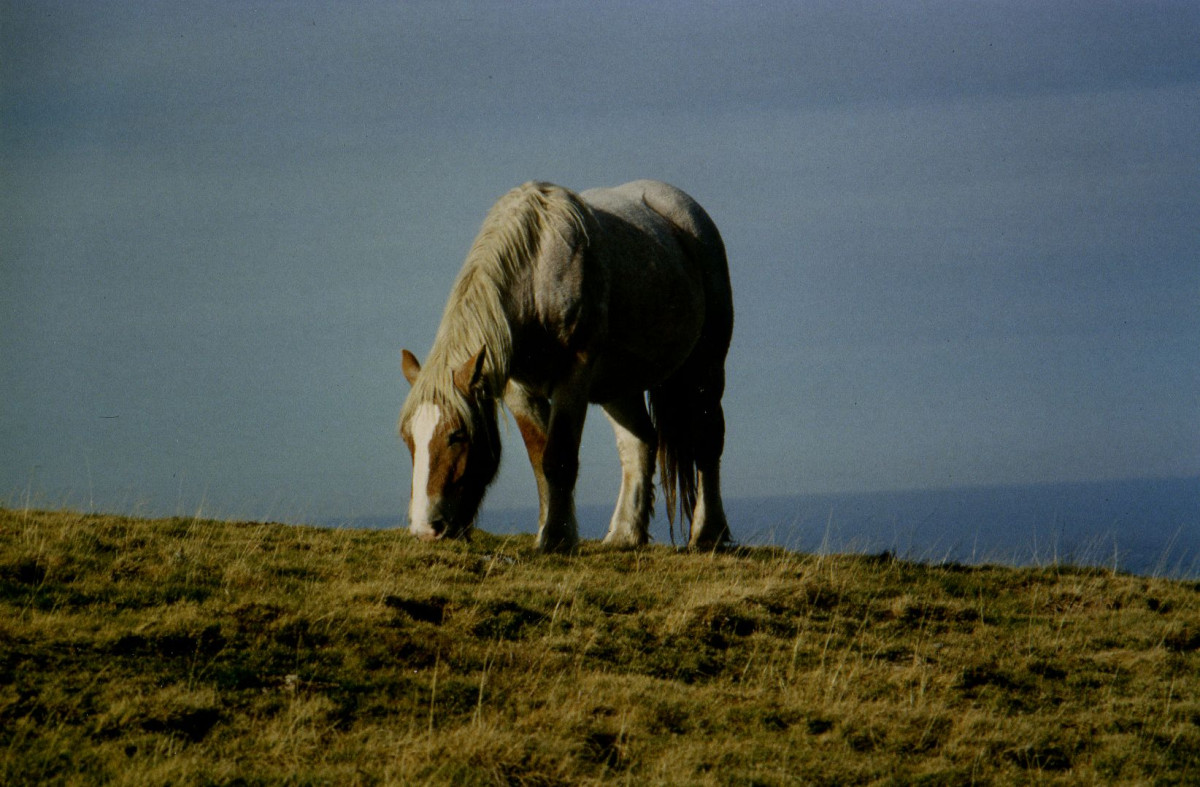 Illustration pour le poème
