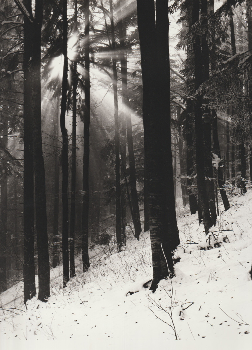 Illustration pour le poème