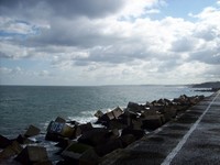 Sur le poème : <br /> "Vie d’or dur" de Ange