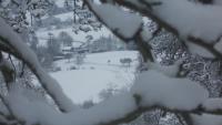 Sur le poème : <br /> "Il neige ce matin" de Ombrefeuille