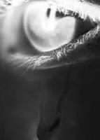 Sur le poème : <br /> "Larme de chagrins" de Rousselot