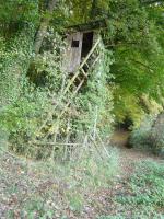 Sur le poème : <br /> "Mon bureau dans les arbres" de Oxalys