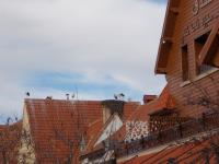 Sur le poème : <br /> "Les cigognes dans le ciel" de Lastours