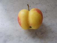 Sur le poème : <br /> "Ballade fantaisiste pour une pomme callipyge" de Oxalys