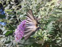 Sur le poème : <br /> "A la tienne" de Ouakaman