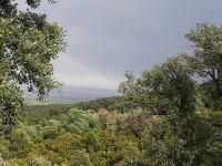 Sur le poème : <br /> "Pour avoir trop aimé ..." de Ombrefeuille