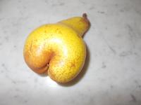 Sur le poème : <br /> "Ballade pour une bonne poire" de Oxalys