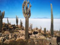 Sur le poème : <br /> "Un lieu magique" de Boblawap