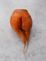 Sur le poème : <br /> "Poème pour une grosse légume" de Oxalys