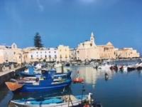 Sur le poème : <br /> "Villes blanches" de Boblawap