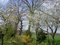 Sur le poème : <br /> "Promesses avortées" de Boblawap