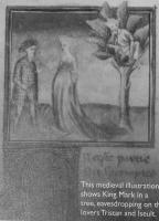 Sur le poème : <br /> "Tristan et Iseut ..." de Boblawap