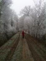 Sur le poème : <br /> "Chaperon rouge" de Boblawap