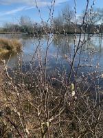 Sur le poème : <br /> "Les chatons" de Boblawap