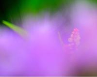 Sur le poème : <br /> "Trouve la lumière" de Francette