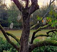 Sur le poème : <br /> "Les matins de septembre" de Arielle