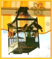 Sur le poème : <br /> "La cage de Prévert" de Arielle