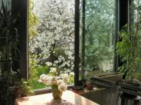 Sur le poème : <br /> "Cerisier en fleurs" de Arielle